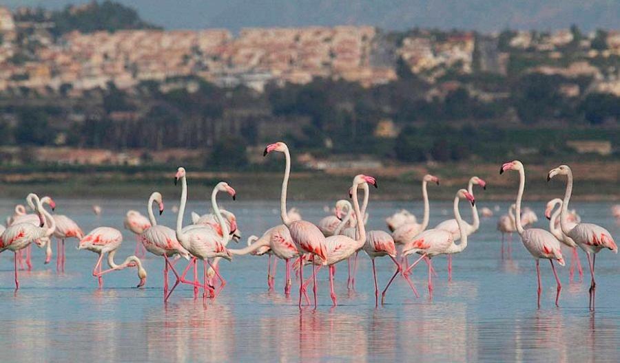 Апартаменты В Парковой Зоне С Видом На Море La Mata  Esterno foto